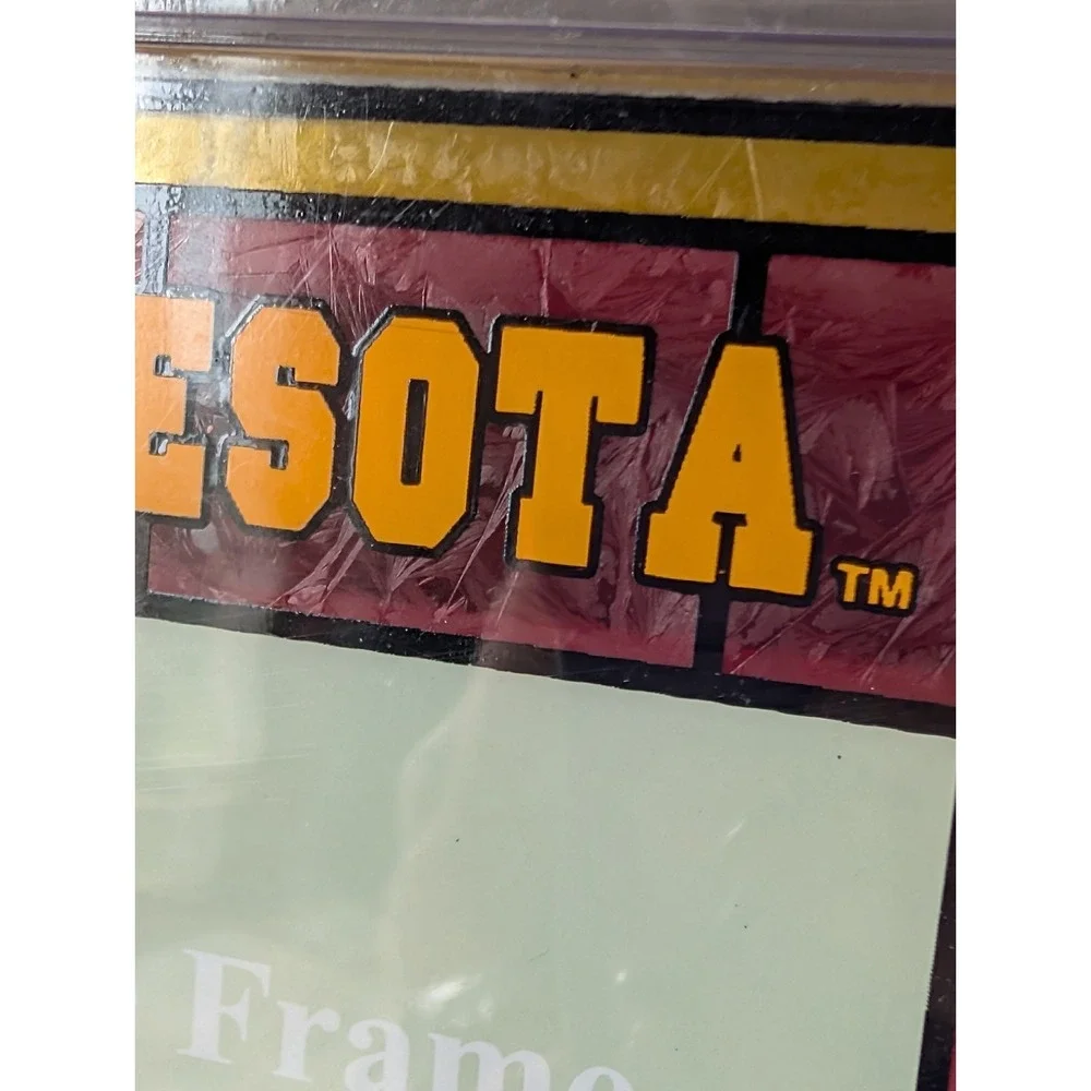 Minnesota College Art Glass Picture Frame Vertical University The Memory Company